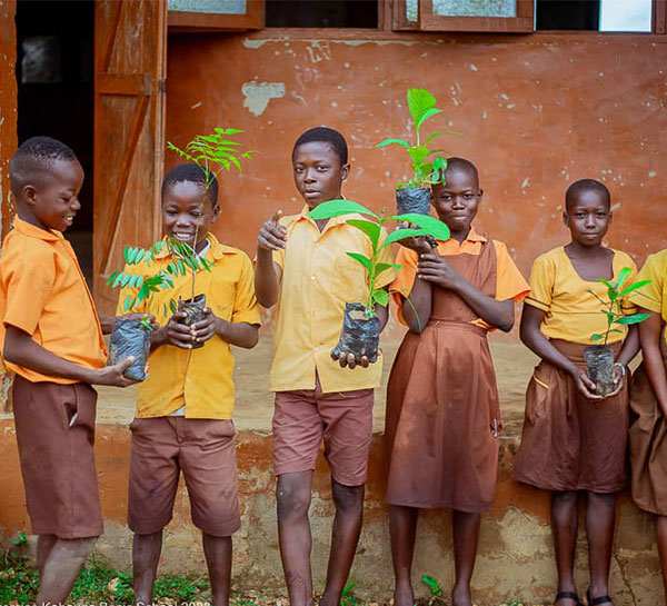 Tree-planting-exercise-Kobougo-primary-school